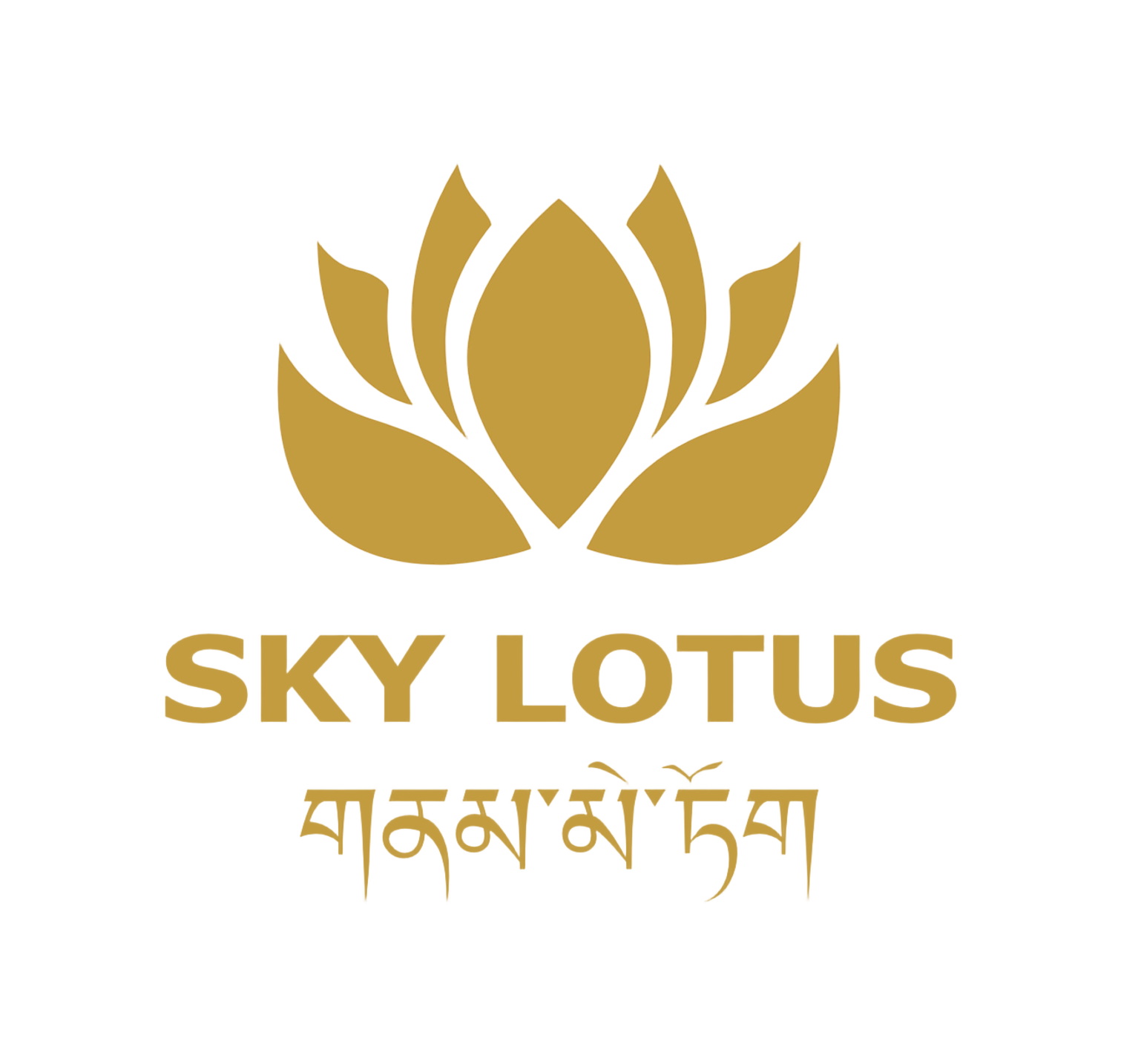 Skylotus